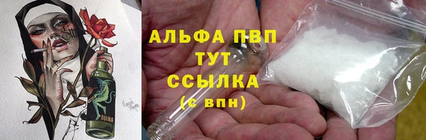 стаф Надым