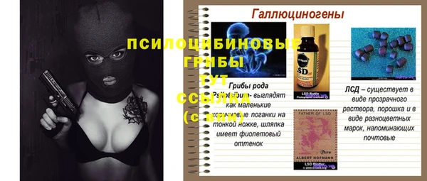 apvp Билибино