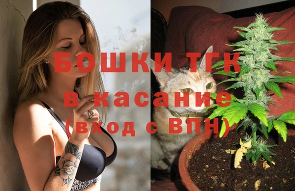 apvp Михайлов