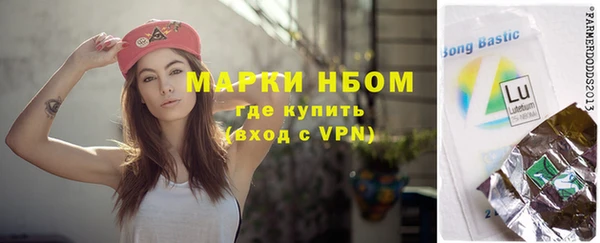 прущие грибы Михайловск