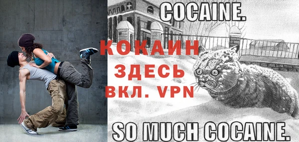 apvp Михайлов