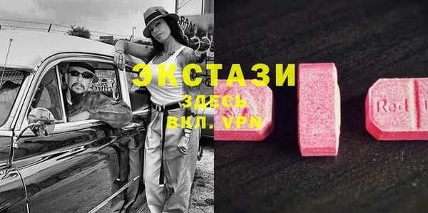 прущие грибы Михайловск