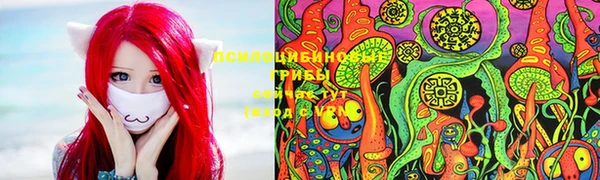 spice Михайловка