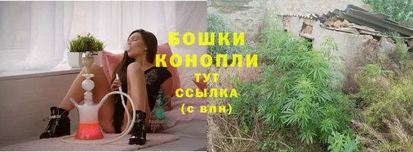 трава Бикин