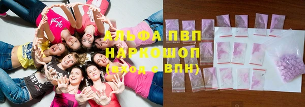 прущие грибы Михайловск