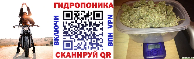 Конопля White Widow  Палласовка 